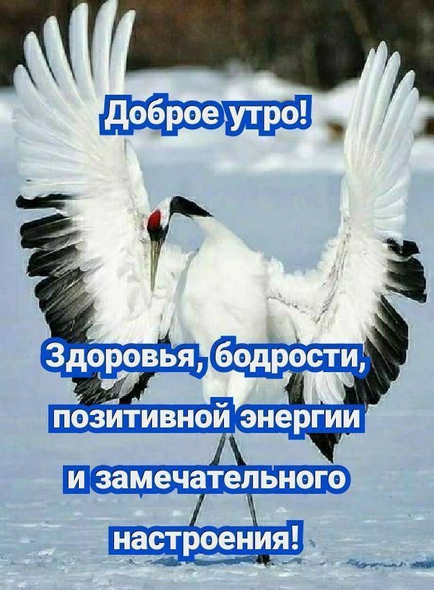 Доброе утро! Здоровья, бодрости, позитивной энергии и замечательного настроения!