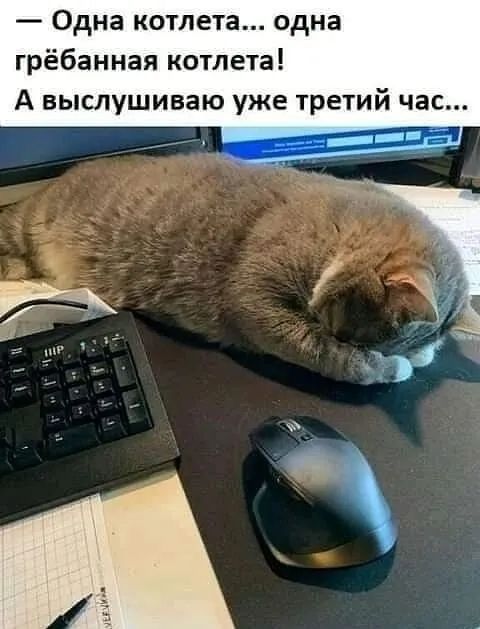 Одна котлета... одна гребанная котлета! А выслушиваю уже третий час...