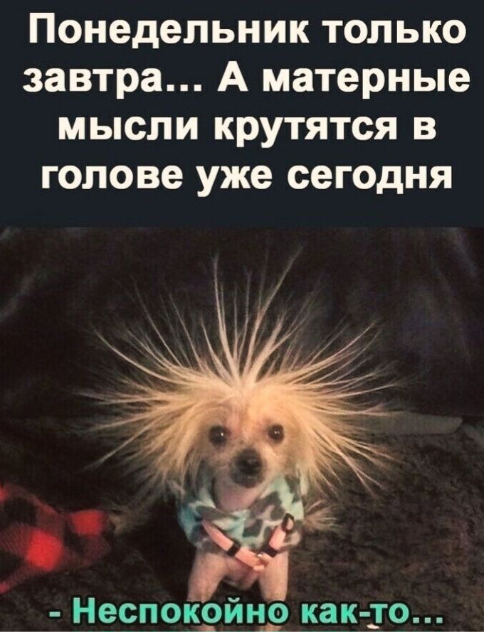 Понедельник только завтра... А матерные мысли крутятся в голове уже сегодня
- Неспокойно как-то...