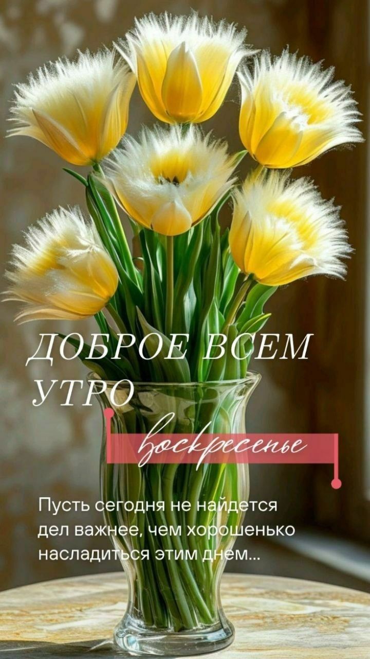 ДОБРОЕ ВСЕМ УТРО воскресенье Пусть сегодня не найдется дел важнее, чем хорошенько насладиться этим днем...