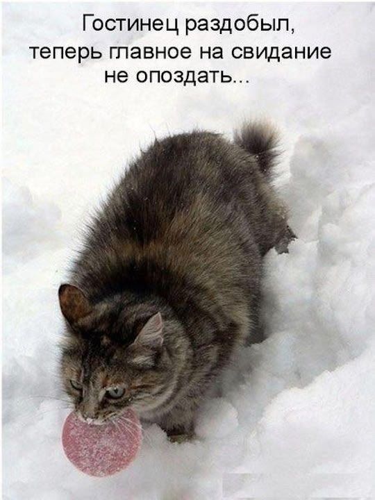 Гостинец раздобыл, теперь главное на свидание не опоздать...