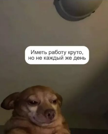 Иметь работу круто, но не каждый же день