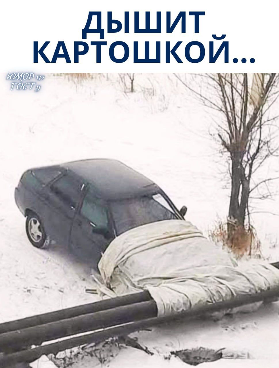 ДЫШИТ КАРТОШКОЙ...