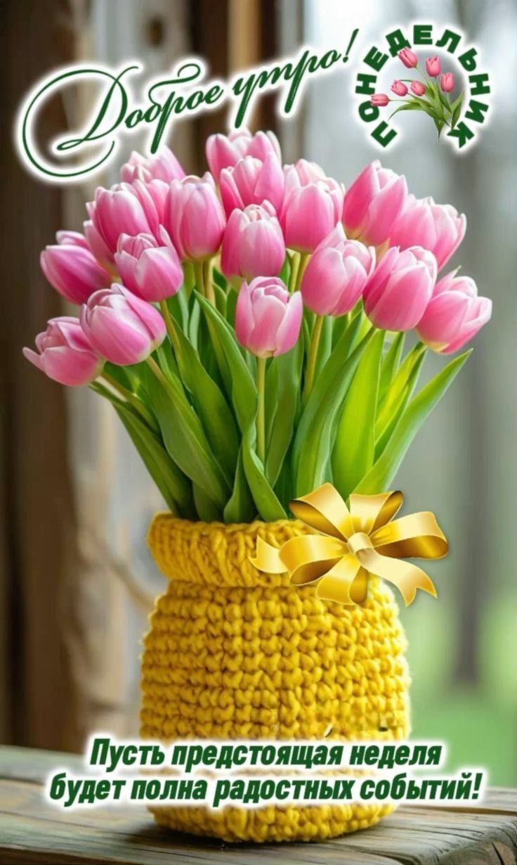 Доброе утро! Пусть предстоящая неделя будет полна радостных событий!
