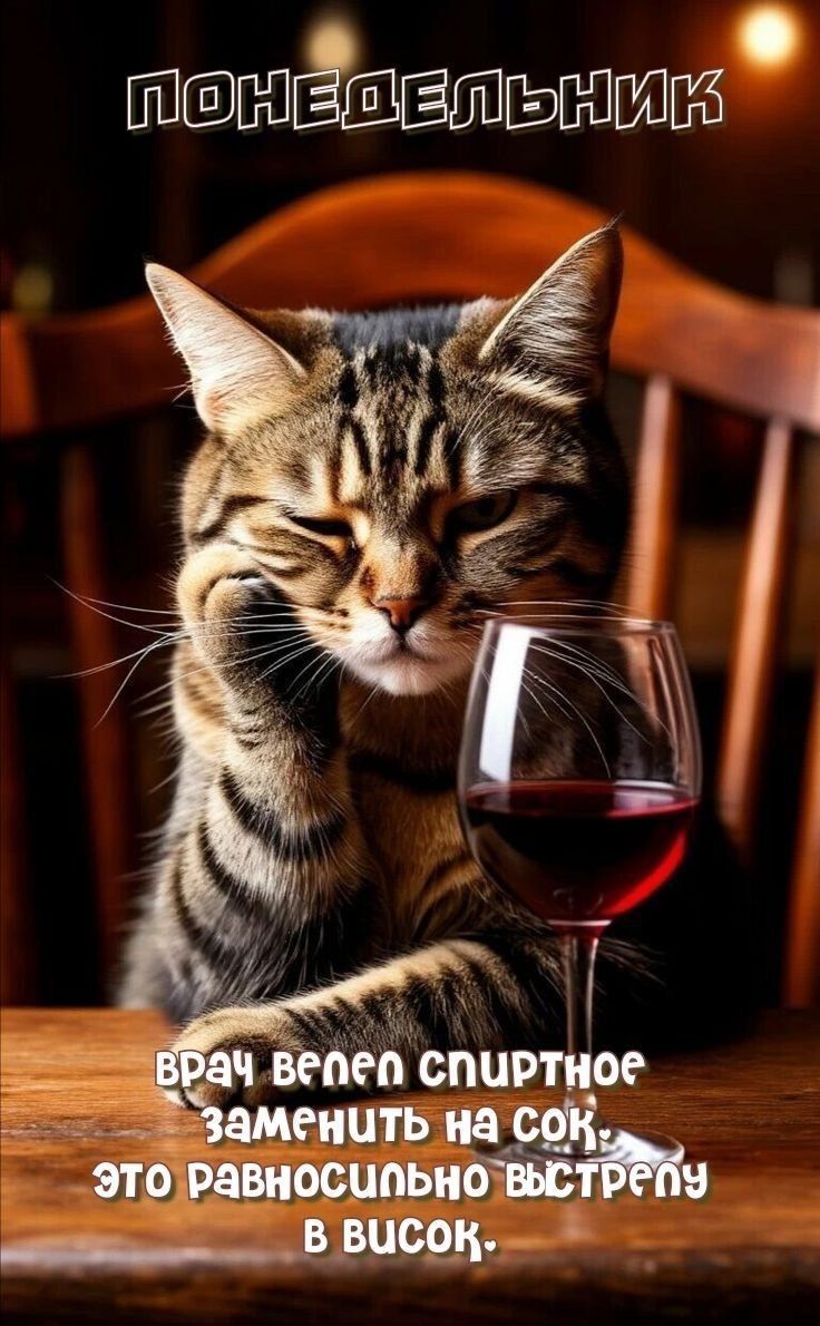Понедельник
врач велел спиртное заменить на сок, это равносильно выстрелу в висок.