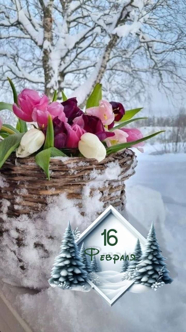 16 ФЕВРАЛЯ