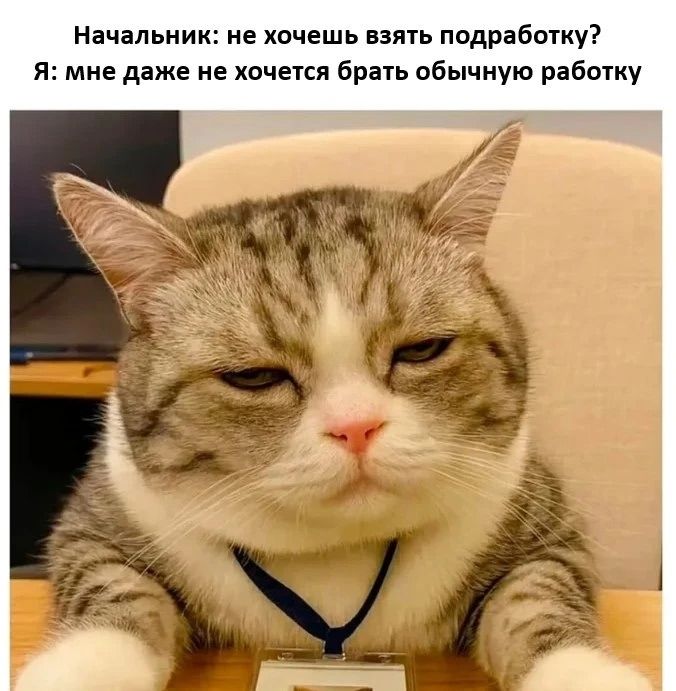 Начальник: не хочешь взять подработку? Я: мне даже не хочется брать обычную работу