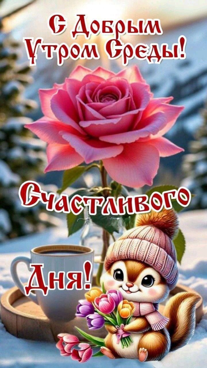 С Добрым Утром Среды!
Счастливого Дня!