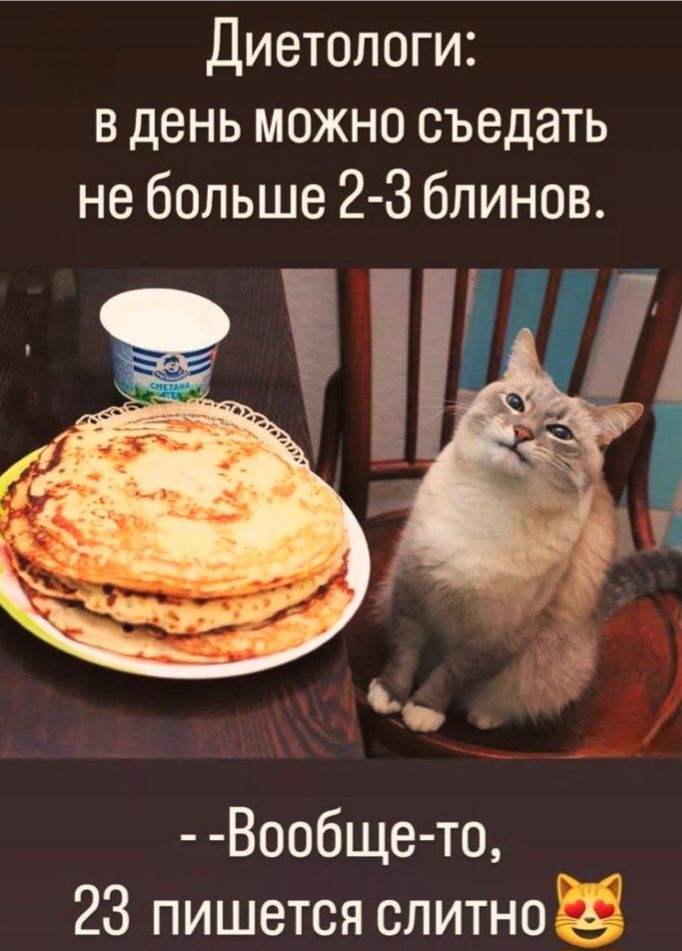 Диетологи: в день можно съесть не больше 2-3 блинов.\n-Вообще-то, 23 пишется слитно 😺