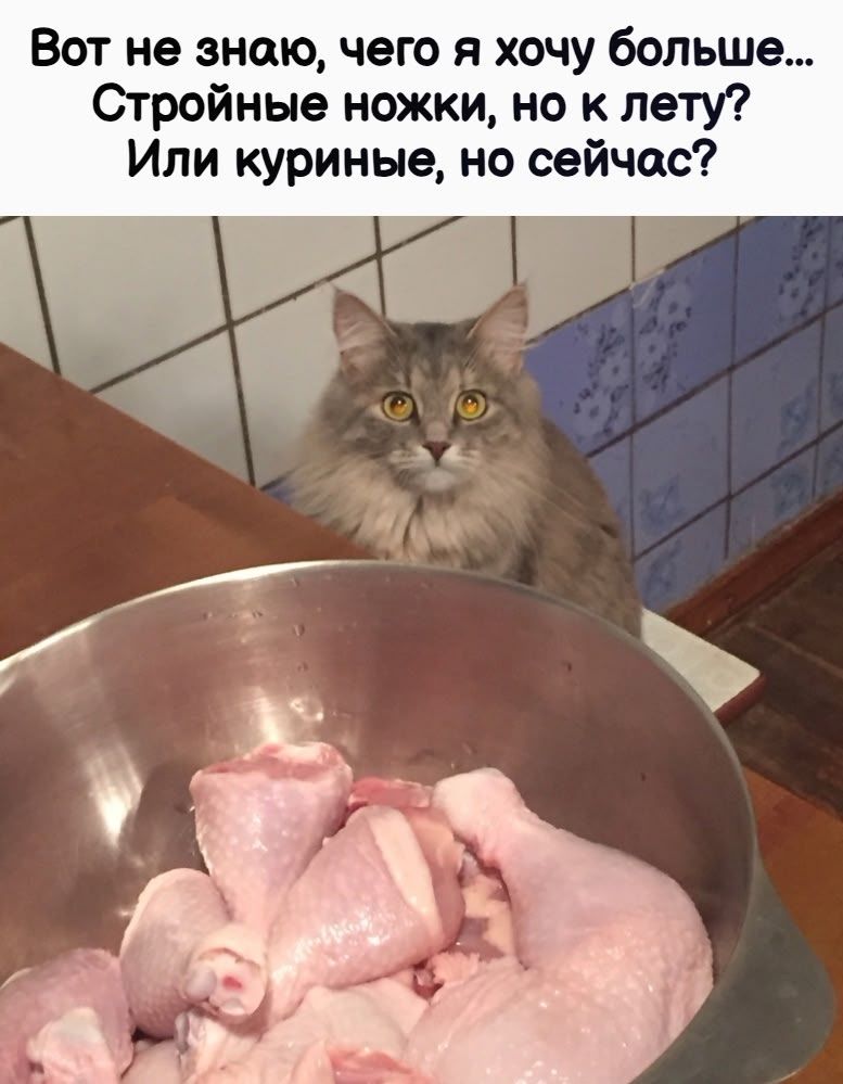 Вот не знаю, чего я хочу больше... Стройные ножки, но к лету? Или куриные, но сейчас?