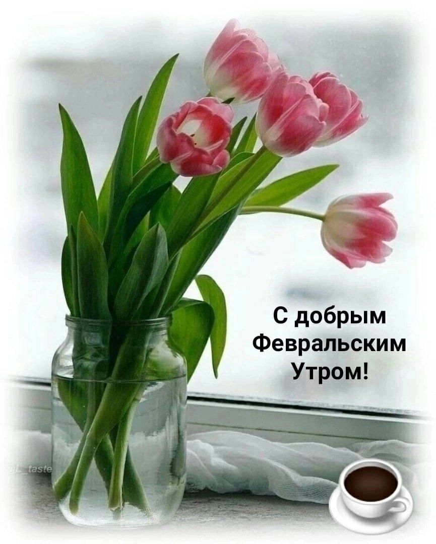 С добрым Февральским Утром!