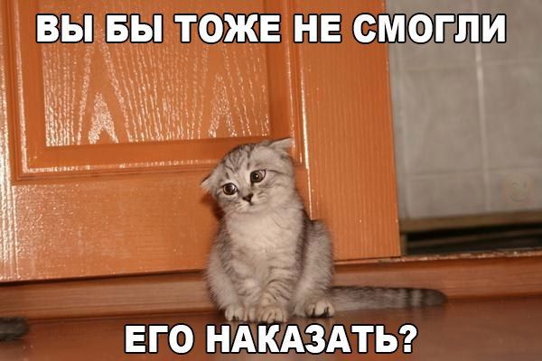 ВЫ БЫ ТОЖЕ НЕ СМОГЛИ ЕГО НАКАЗАТЬ?