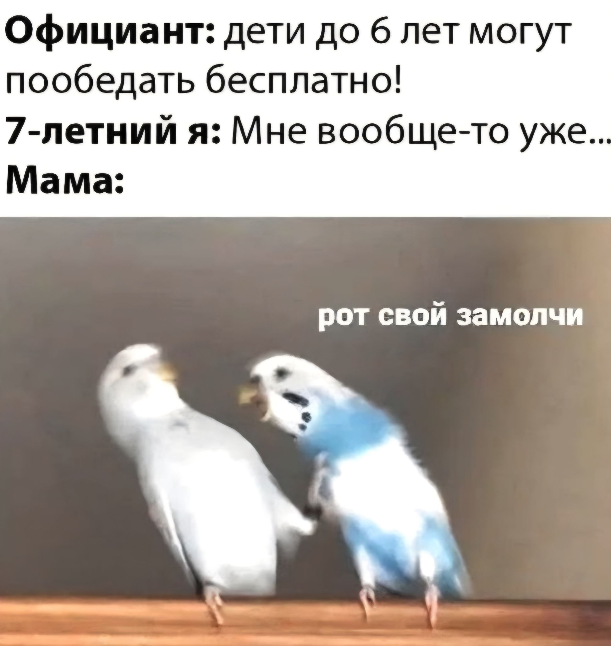 Официант: дети до 6 лет могут пообедать бесплатно! 7-летний я: Мне вообще-то уже... Мама: