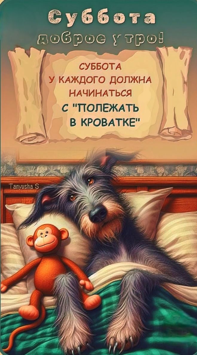 Суббота доброе утро! Суббота у каждого должна начинаться с «полежать в кроватке»