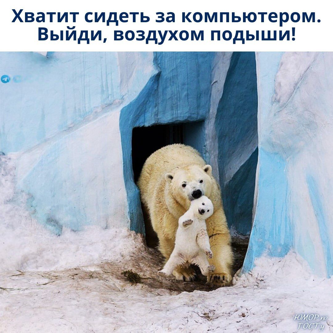 Хватит сидеть за компьютером. Выйди, воздухом подыши!