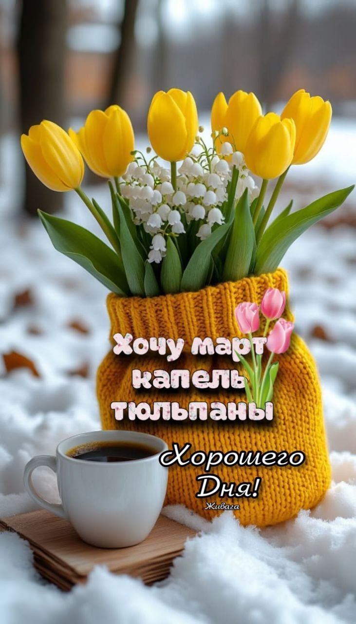 Хочу март капель тюльпаны
Хорошего дня!