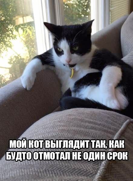 ВЫГЛЯДИТ тщ КАК

ат

