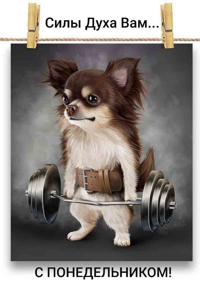Силы Духа Вам...\nС ПОНЕДЕЛЬНИКОМ!