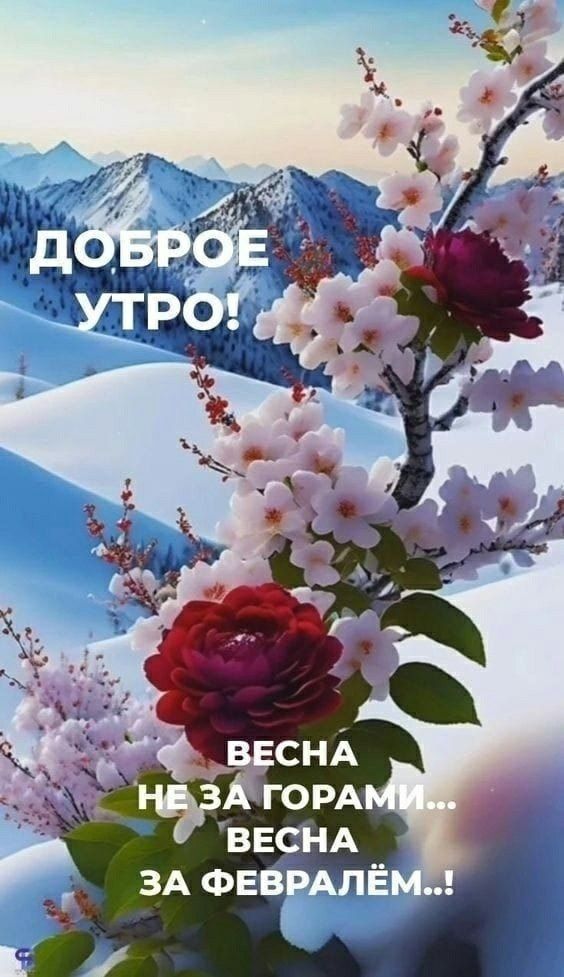 Доброе утро! Весна не за горами... весна за февралём...!