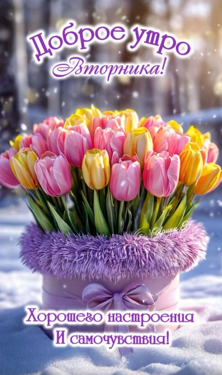 Доброе утро Вторник! Хорошего настроения и самочувствия!