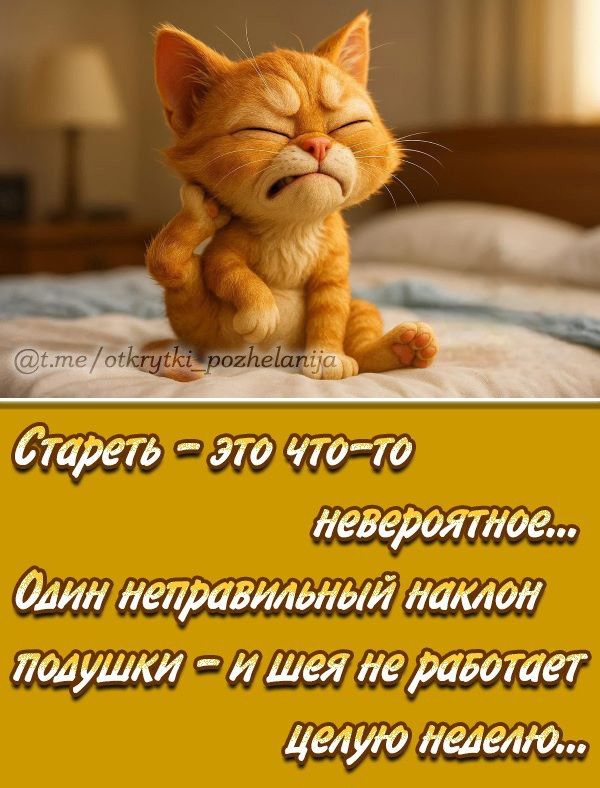 Стареть – это что-то невероятное... Один неправильный наклон подушки – и шея не работает целую неделю...