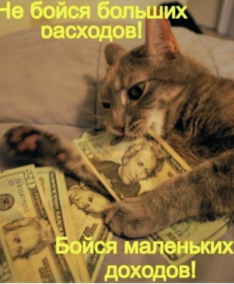 Не бойся больших расходов! Бойся маленьких доходов!