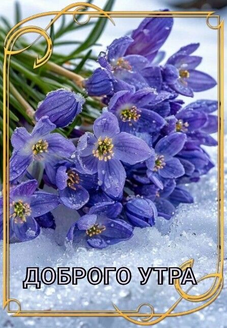 ДОБРОГО УТРА