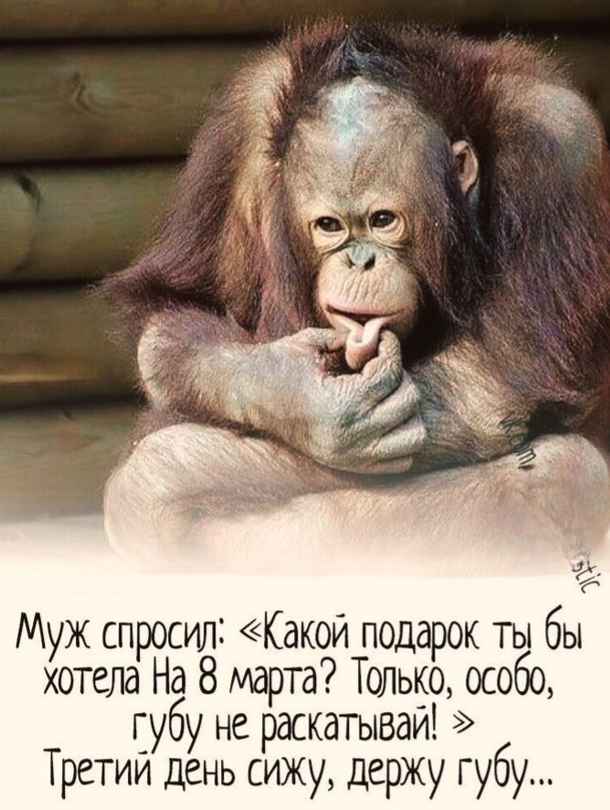 Муж спросил: «Какой подарок ты бы хотела на 8 марта? Только, особо, губу не раскатывай!» Третий день сиджу, держу губу...