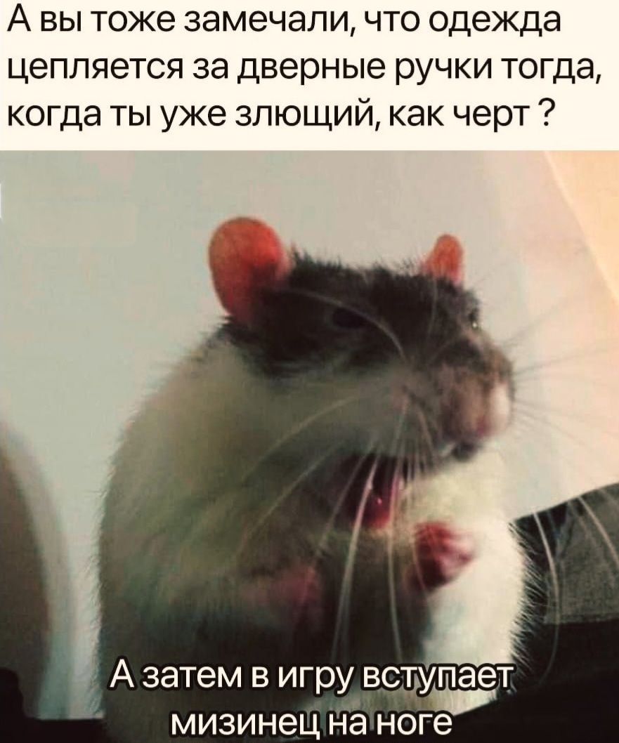 А вы тоже замечали, что одежда цепляется за дверные ручки тогда, когда ты уже злющий, как черт ? А затем в игру вступает мизинец на ноге