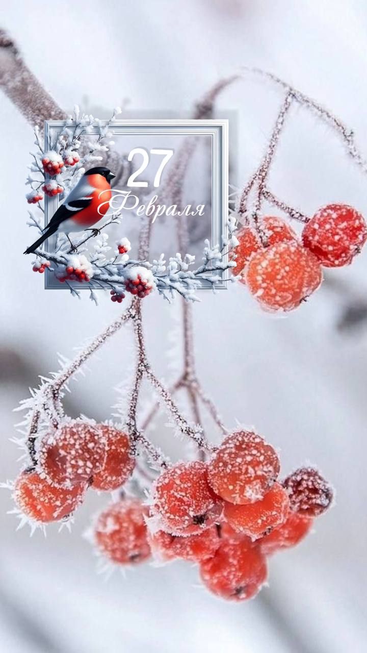 27 Февраля