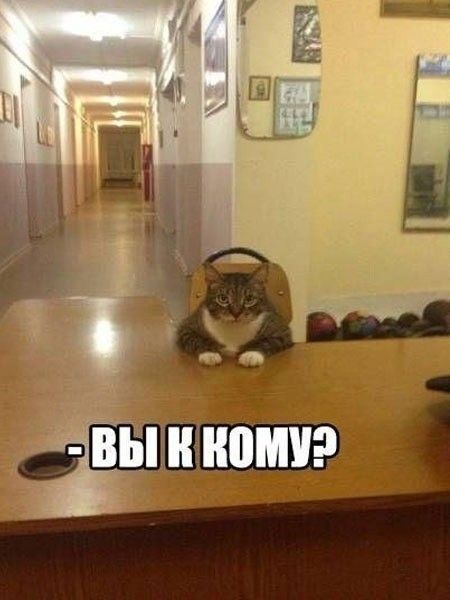 - Вы к кому?