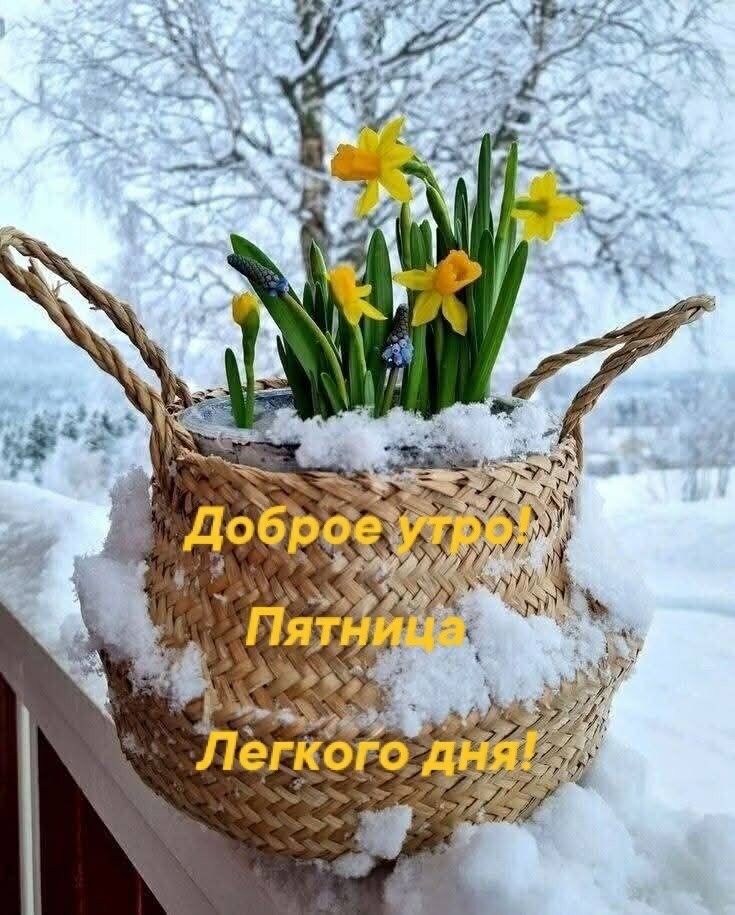 Доброе утро! Пятница Легкого дня!