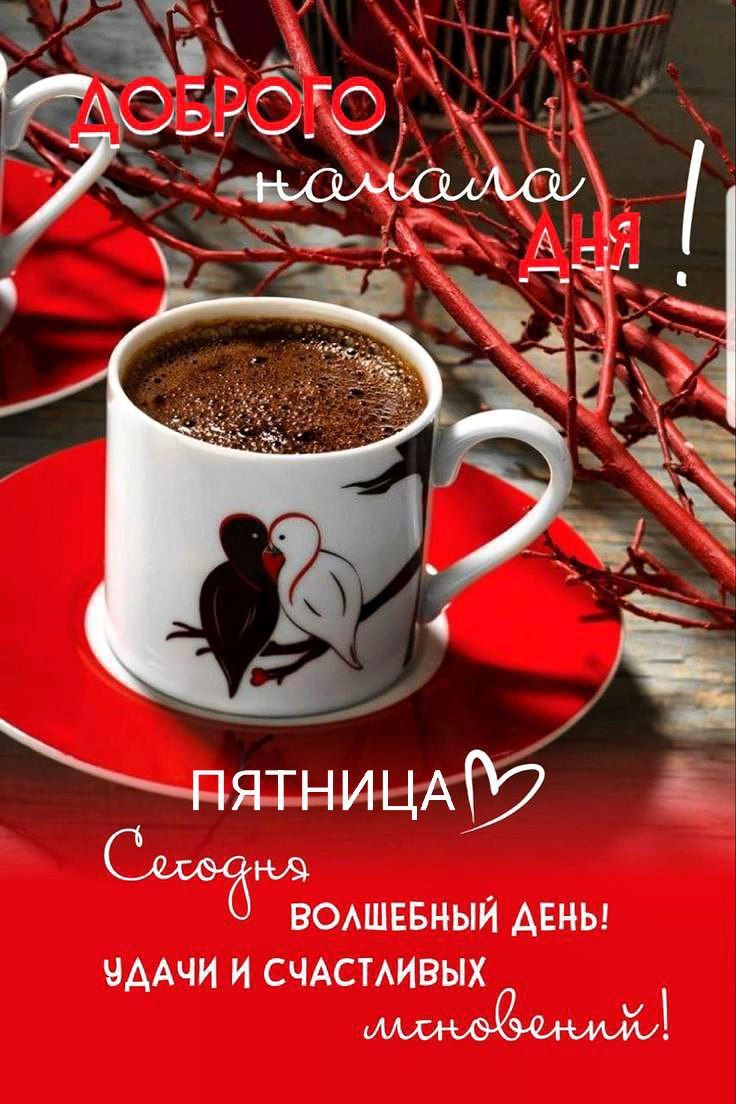 ДОБРОГО утра (или Доброе утро) пятница! Сегодня волшебный день! Удачи и счастливых мгновений!