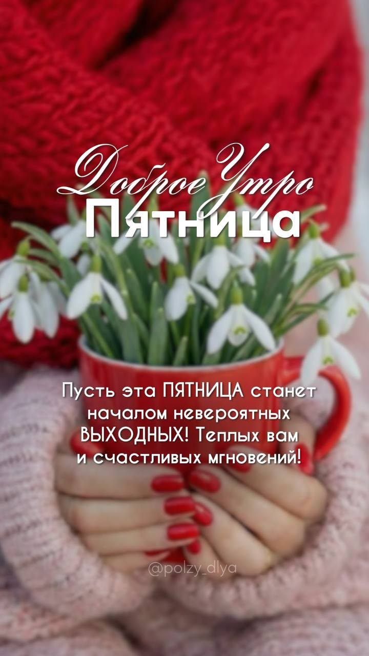Доброе Утро Пятница
Пусть эта ПЯТНИЦА станет началом невероятных ВЫХОДНЫХ! Теплых вам и счастливых мгновений!