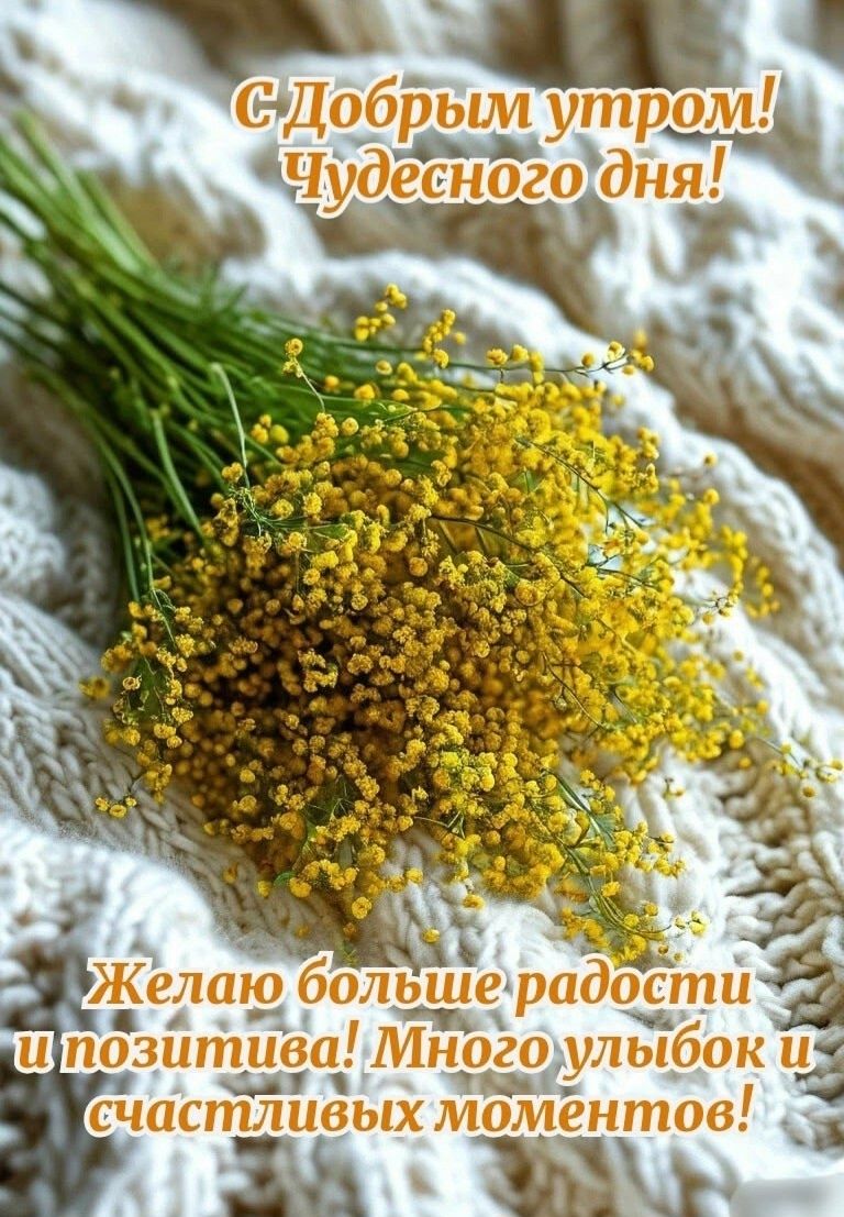 С Добрым утром! Чудесного дня! Желаю больше радости и позитива! Много улыбок и счастливых моментов!