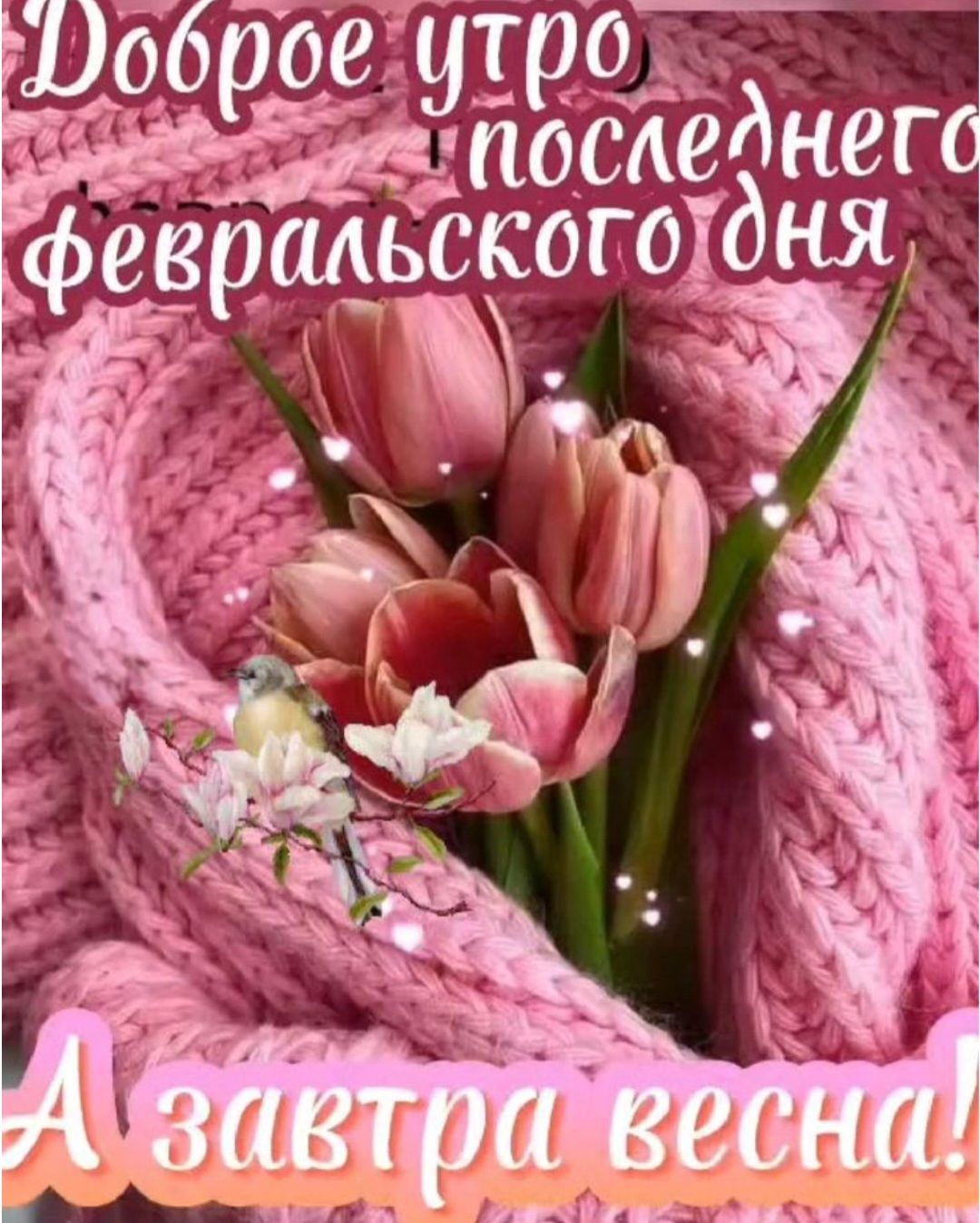 Доброе утро и последнего февраля дня. А завтра весна!