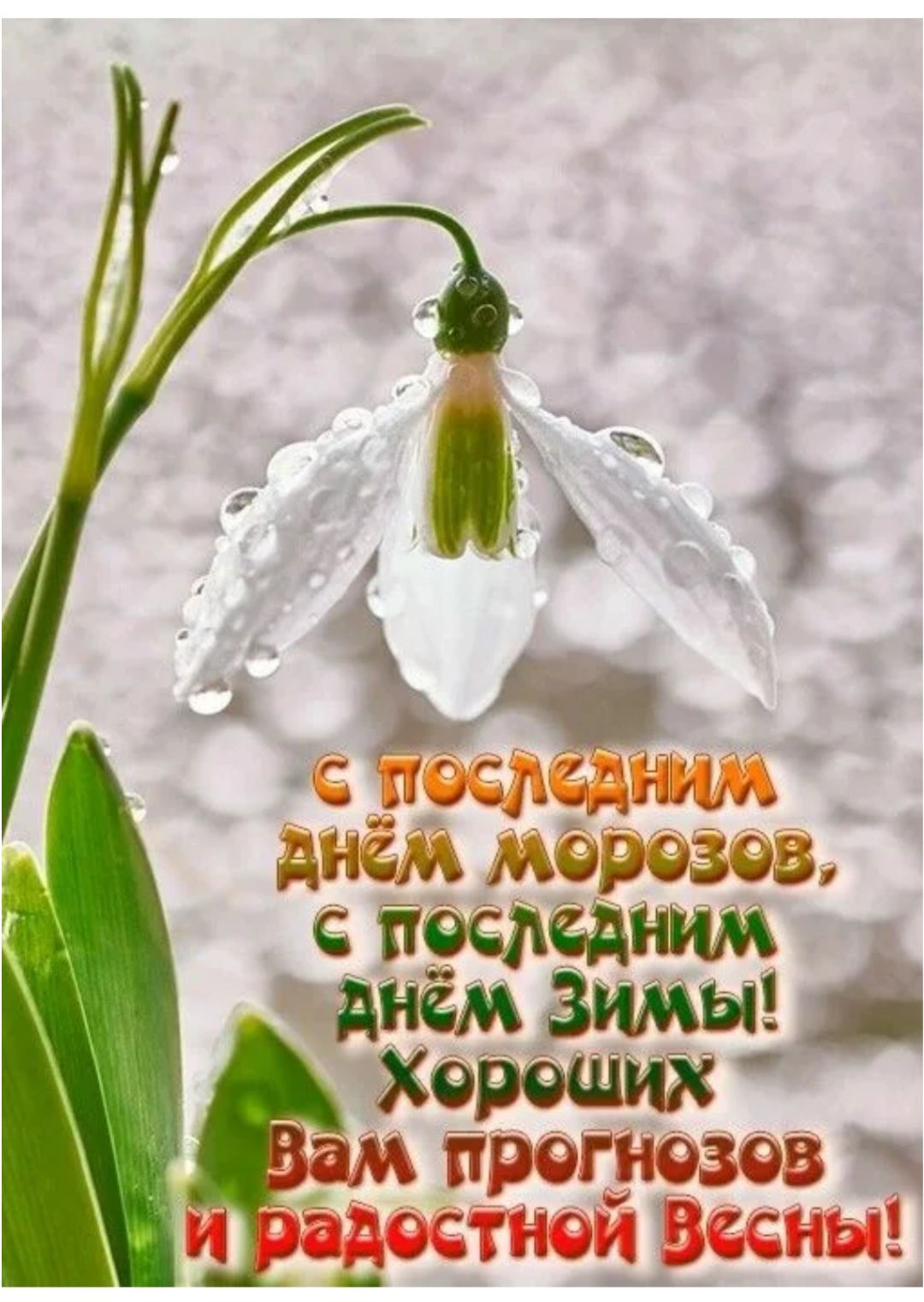 С последним днём морозов, с последним днём зимы! Хороших вам прогнозов и радостной весны!