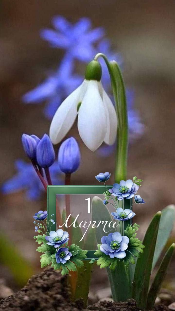 1 Марта