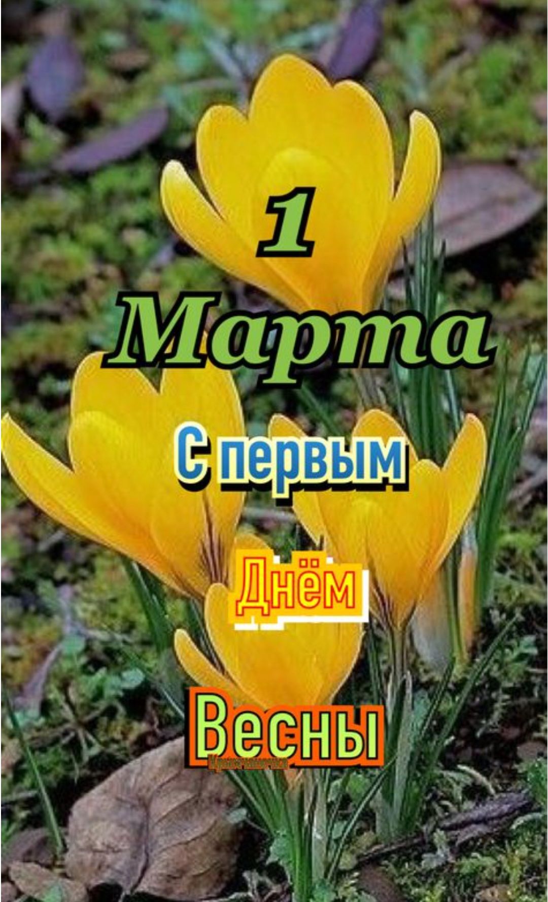 1 Марта С первым Днём Весны