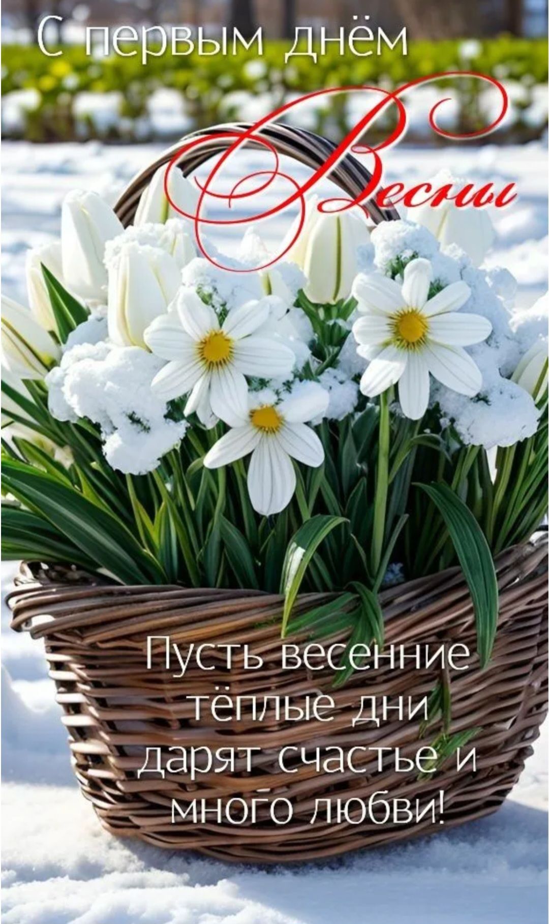 С первым днём Весны
Пусть весенние тёплые дни дарят счастье и много любви!