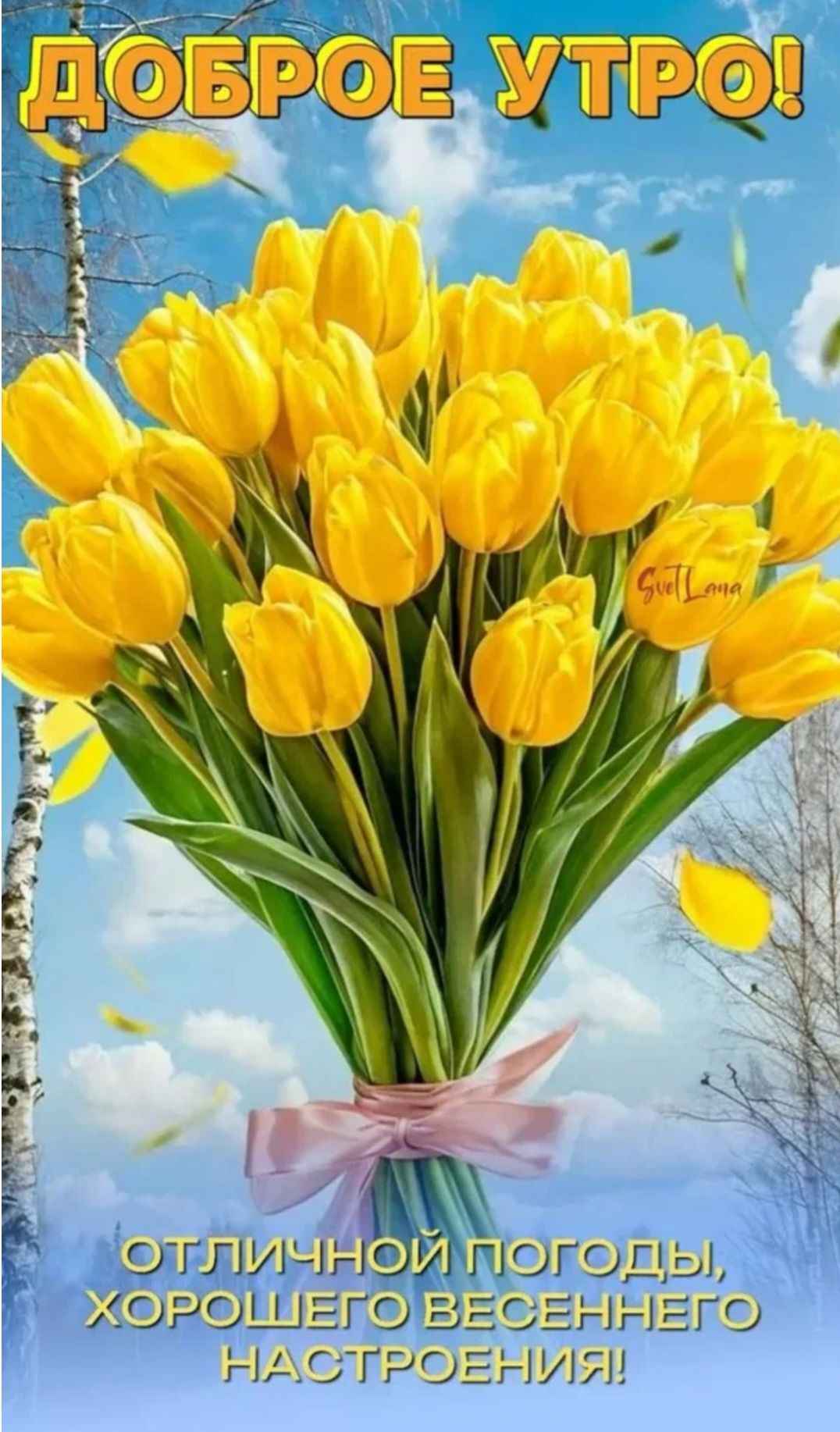 ДОБРОЕ УТРО! ОТЛИЧНОЙ ПОГОДЫ, ХОРОШЕГО ВЕСЕННЕГО НАСТРОЕНИЯ!