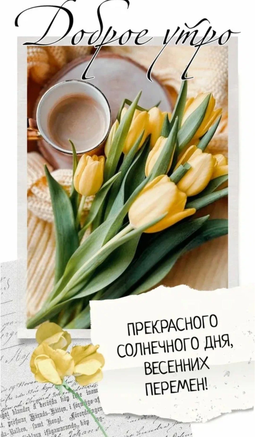 Доброе утро
ПРЕКРАСНОГО СОЛНЕЧНОГО ДНЯ, ВЕСЕННИХ ПЕРЕМЕН!