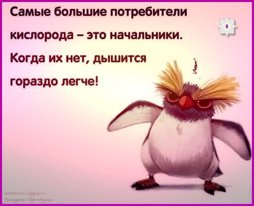 Самые большие потребители кислорода - это начальники. Когда их нет, дышится гораздо легче!
