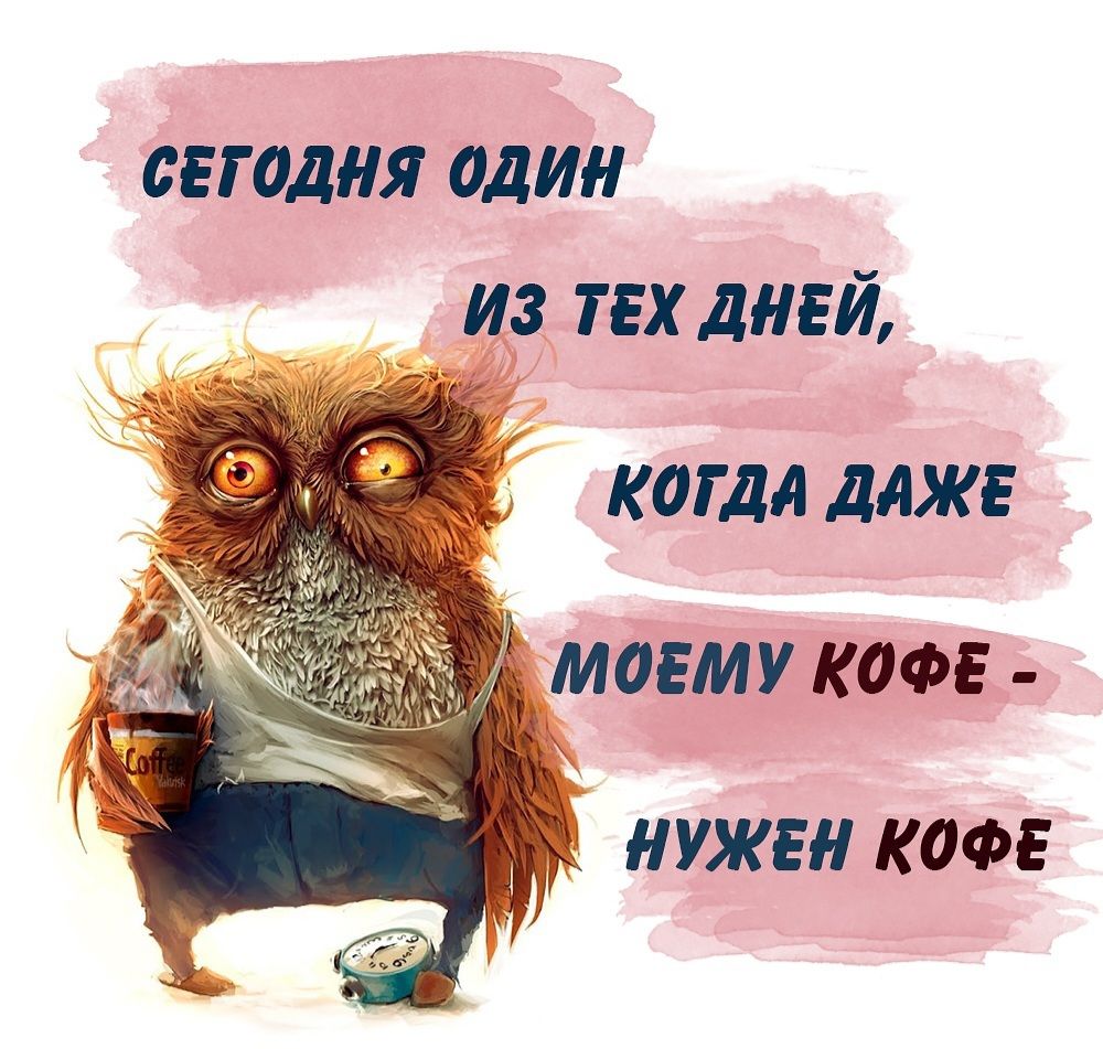 СЕГОДНЯ ОДИН ИЗ ТЕХ ДНЕЙ, КОГДА ДАЖЕ МОЕМУ КОФЕ - НУЖЕН КОФЕ