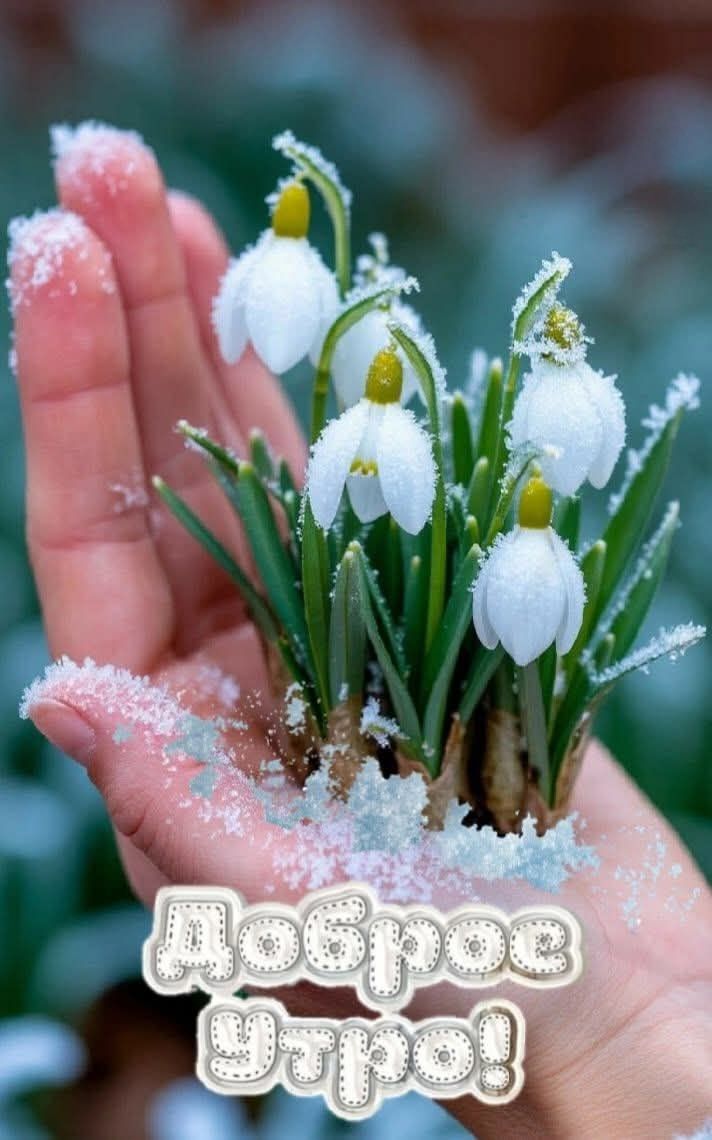 Доброе утро!