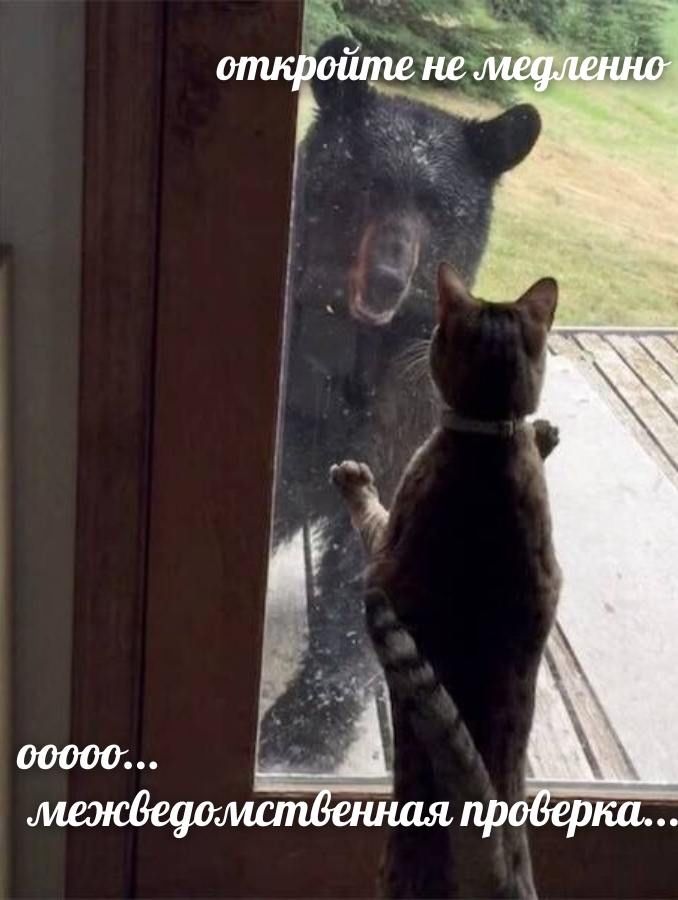 откройте не медленно
ооооо…межведомственная проверка...