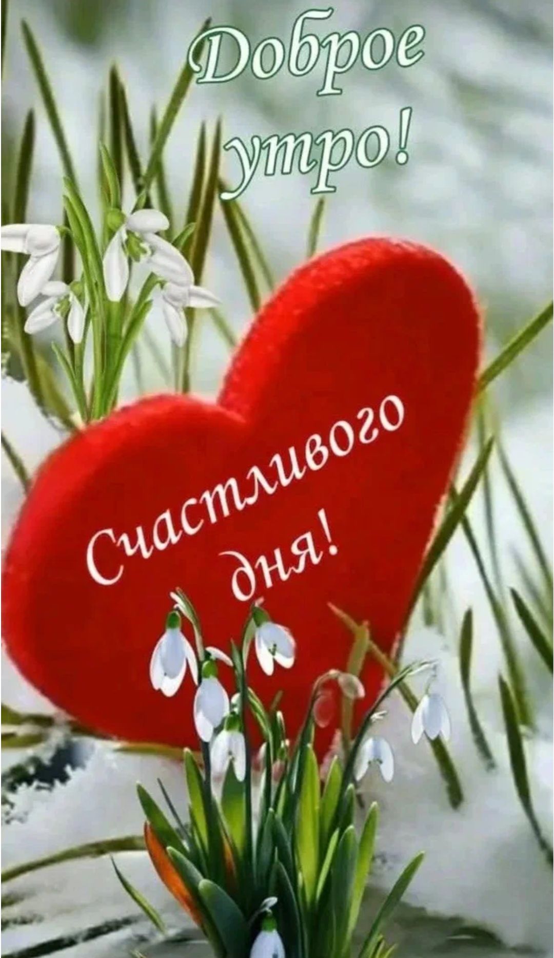 Доброе утро! Счастливого дня!