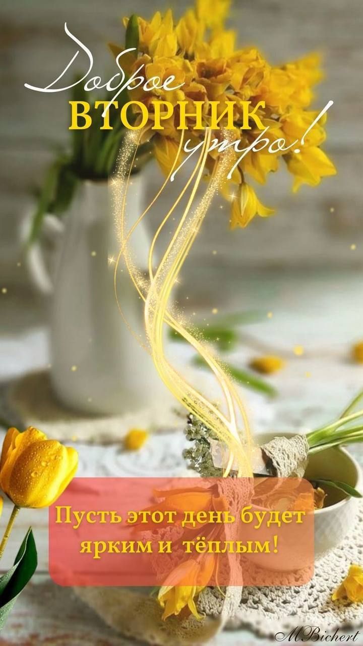 Доброе вторник утро! Пусть этот день будет ярким и тёплым!
