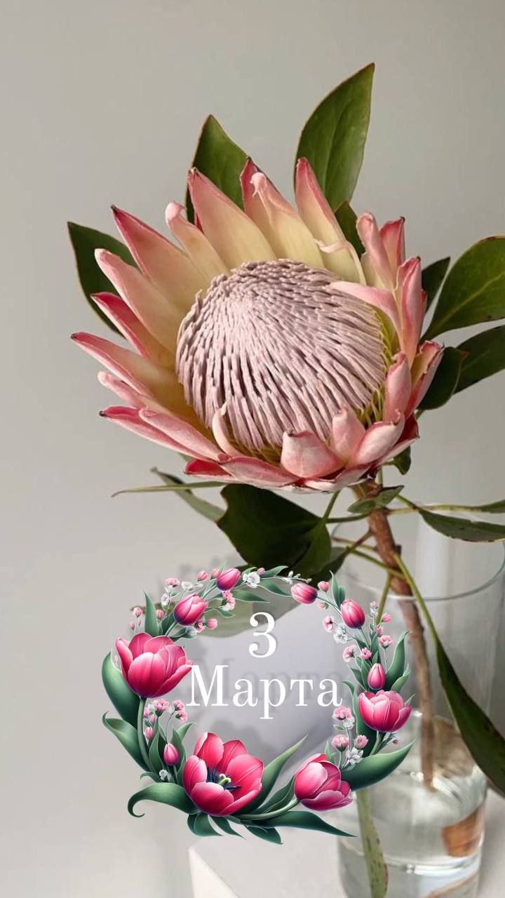 3 Марта