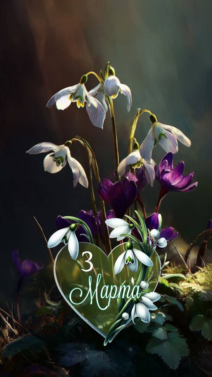 3 Марта